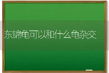 东锦龟可以和什么龟杂交