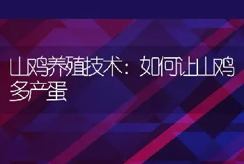 山鸡养殖技术：如何让山鸡多产蛋