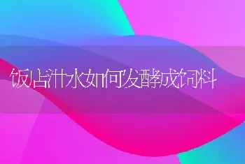 饭店泔水如何发酵成饲料