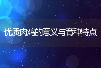 浅谈发酵床养猪推广过程中存在的问题