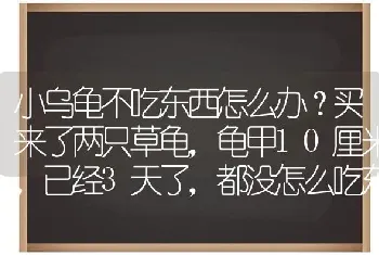 小乌龟不吃东西怎么办？买来了两只草龟，龟甲10厘米，已经3天了，都没怎么吃东西？我们这温度11度~17度？