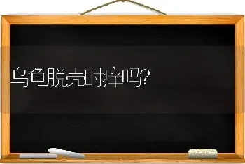 乌龟脱壳时痒吗？