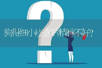 狗得细小痊愈后精神不好？