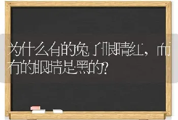 为什么有的兔子眼睛红，而有的眼睛是黑的？