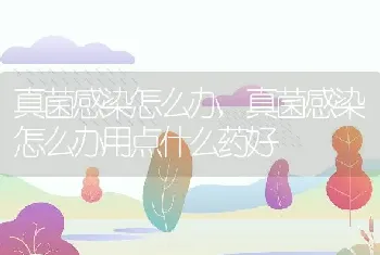 真菌感染怎么办，真菌感染怎么办用点什么药好