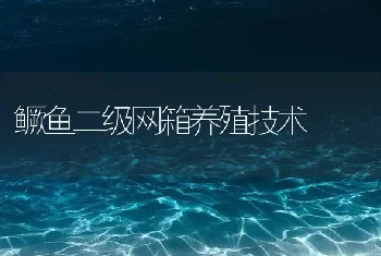 鳜鱼二级网箱养殖技术