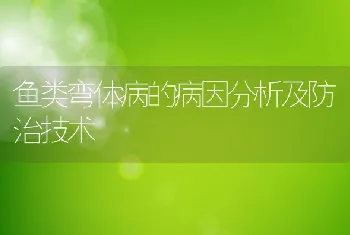 獭兔皮的防腐保存技术