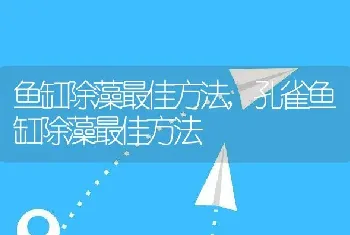 鱼缸除藻最佳方法，孔雀鱼缸除藻最佳方法