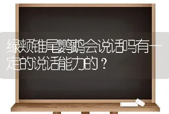 绿颊锥尾鹦鹉会说话吗有一定的说话能力的？