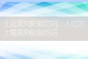 土霉素狗狗能吃吗，人吃的土霉素狗狗能吃吗