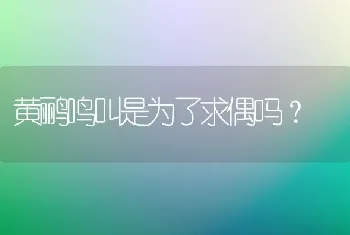 我是特别喜欢狗狗的，但是最近新养一只总是控制不了打他。讨厌现在的自己希望自救忏悔？