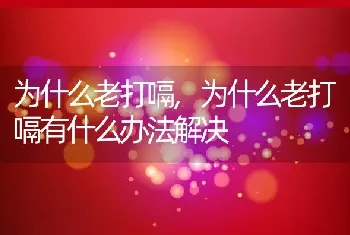 为什么老打嗝，为什么老打嗝有什么办法解决