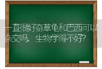 一直很好奇草龟和巴西可以杂交吗.生物学得不好？