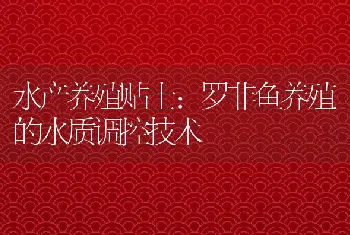 罗非鱼养殖的水质调控技术