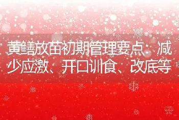 黄鳝放苗初期管理要点：减少应激、开口训食、改底等