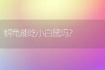 鳄龟能吃小白鼠吗？