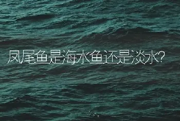 凤尾鱼是海水鱼还是淡水？