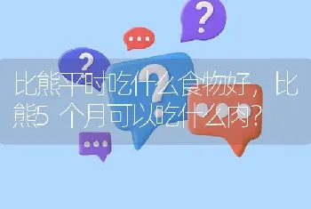 比熊平时吃什么食物好，比熊5个月可以吃什么肉？