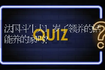 法国斗牛犬1岁了领养的话能养的家吗？