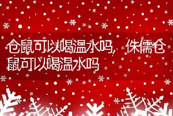 仓鼠可以喝温水吗，侏儒仓鼠可以喝温水吗