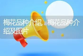 梅花品种介绍，梅花品种介绍及图片