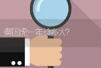 秦国虎一年长多大？