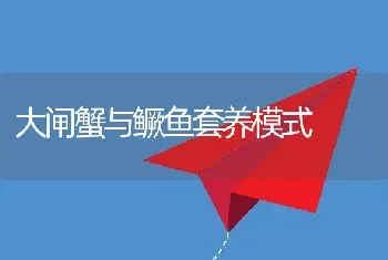 大闸蟹与鳜鱼套养模式