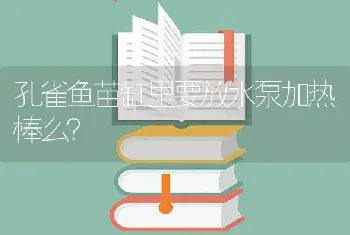 孔雀鱼苗缸里要放水泵加热棒么？