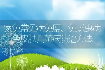 家兔常见病兔瘟、兔球虫病、兔皮肤真菌病防治方法