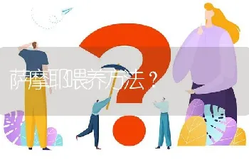 萨摩耶喂养方法？