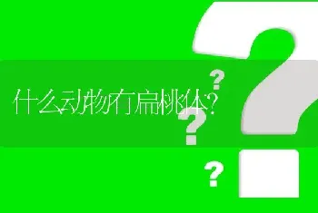 什么动物有扁桃体？