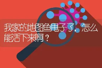 我家的地图鱼甩子了，怎么能活下来啊？