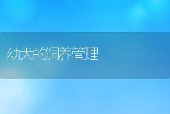 生鱼几种病害防治方法