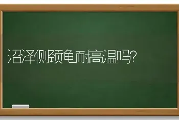 沼泽侧颈龟耐高温吗？