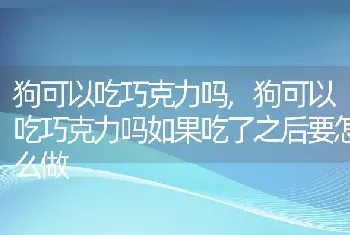 狗可以吃巧克力吗，狗可以吃巧克力吗如果吃了之后要怎么做