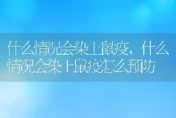 什么情况会染上鼠疫，什么情况会染上鼠疫怎么预防