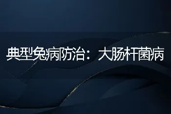 鹌鹑养殖简介