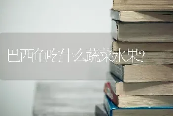 巴西龟吃什么蔬菜水果？