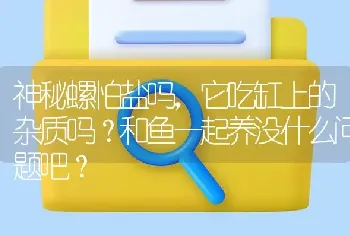 神秘螺怕盐吗，它吃缸上的杂质吗？和鱼一起养没什么问题吧？