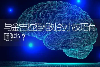 狗狗一直干咳吼吼的，好像嗓子里有东西，是什么病？