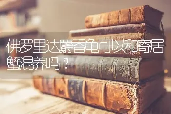 网友们，请问有谁养过布偶吗？真的很乖？好养吗？