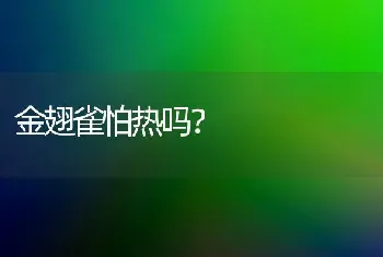 金翅雀怕热吗？