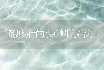 简便易行的水蚯蚓坑养法