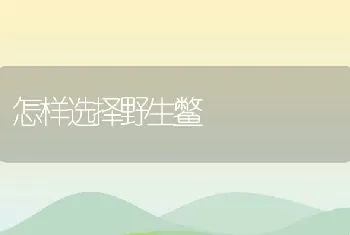 鱼塘开挖清淤机械的选用方法