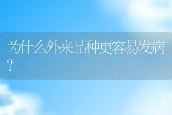 为什么外来品种更容易发病？