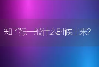 知了猴一般什么时候出来？