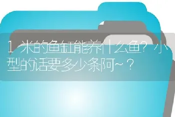 1米的鱼缸能养什么鱼？小型的话要多少条阿~？