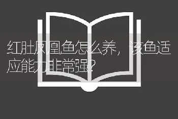 红肚凤凰鱼怎么养，该鱼适应能力非常强？