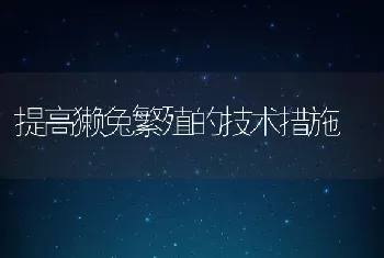 提高獭兔繁殖的技术措施