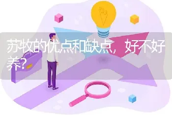 苏牧的优点和缺点，好不好养？